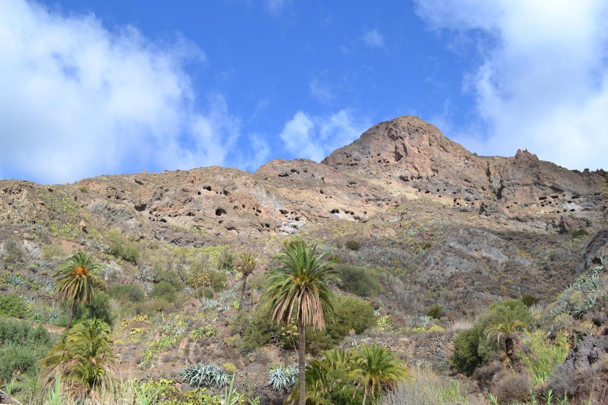 San Bartolomé Finca Mariola - Alpendre מראה חיצוני תמונה